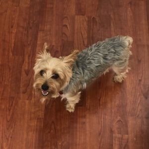 Meet your Posher, Jennifer